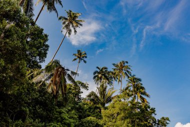 Güzel deniz manzarası. Deniz, dağlar, gökyüzü, gün batımı ve palmiye ağaçları. Phuket, Tayland adanın güzel yerleri.