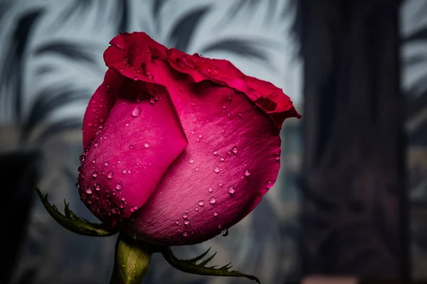 Rose Rouge Sur Plateau Cristal Avec Des Gouttelettes Eau Fleur — Photo