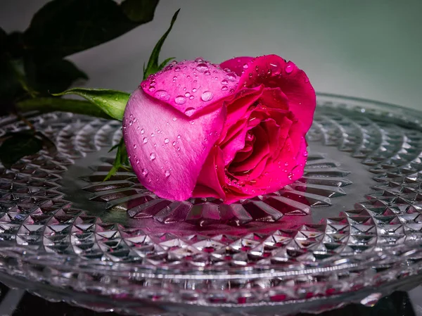 Czerwona Róża Tacy Kryształ Kropelek Wody Kwiat Miłości Kwiatek Stole — Zdjęcie stockowe