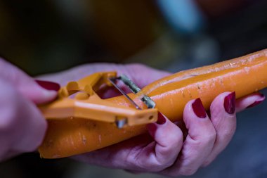 Havuç, mutfakta kadınların elleri temizler.