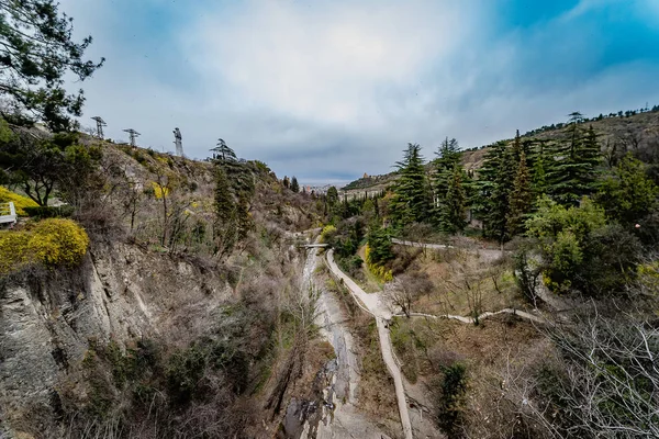 Orto Botanico Nazionale Della Georgia Bellissimi Ponti Sentieri Cascate Alberi — Foto Stock