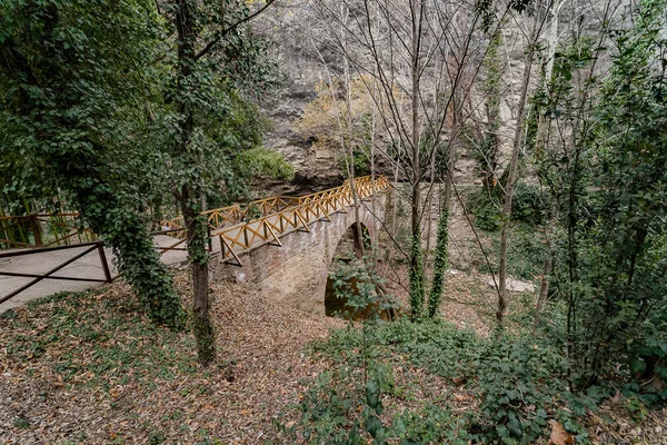 Jardín Botánico Nacional Georgia Hermosos Puentes Senderos Cascadas Árboles —  Fotos de Stock