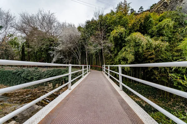 Nationale Botanische Tuin Van Georgië Prachtige Bruggen Paden Waterval Bomen — Stockfoto