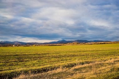 Gün batımında tarla. Gün batımı güneşinin ışınlarında güzel gökyüzü ve alan. 