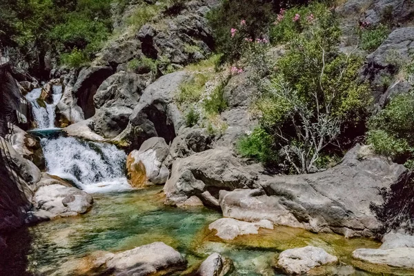 River in the mountains of Turkey. Waterfall among rocks. A river with a fast current.