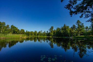 Rus doğasının hoş manzarası. Bulutlar gölde, kıyılarda yeşil ağaçlar ve beyaz huş ağaçları yansıyor..