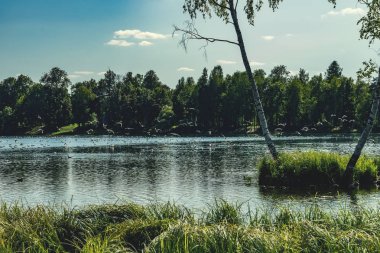 Gatchina Palace Park, Leningrad bölgesi, Rusya. Güzel yaz manzara.