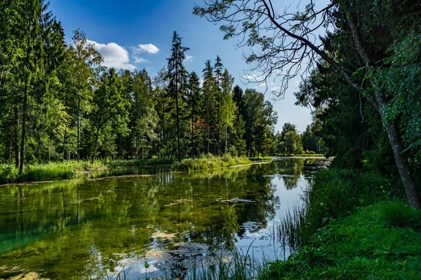 位于俄罗斯列宁格勒州加特基马的宫殿公园 美丽的夏季景观 — 图库照片