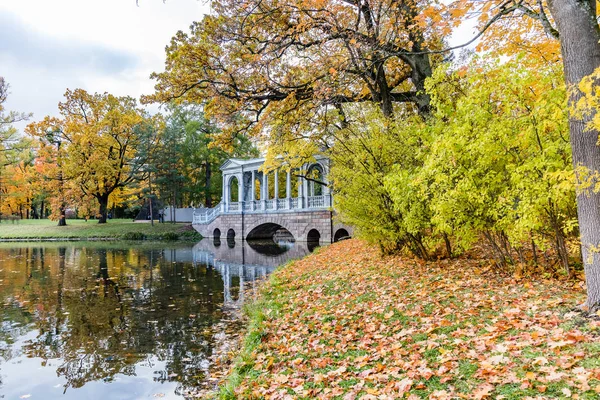 Paesaggio Autunno Natura Magnifica Città Regione Pushkin Leningrado — Foto Stock