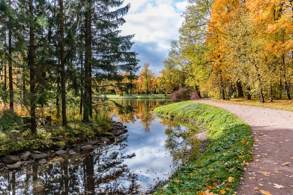 秋天的风景 富饶的大自然 普希金列宁格勒地区 — 图库照片