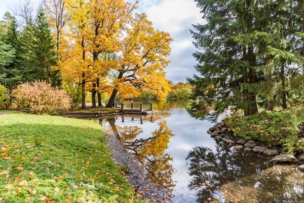 Paesaggio Autunno Natura Magnifica Città Regione Pushkin Leningrado — Foto Stock