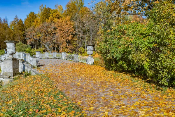 列宁格勒地区帕夫洛夫斯克公园的秋季风景与景观 — 免费的图库照片