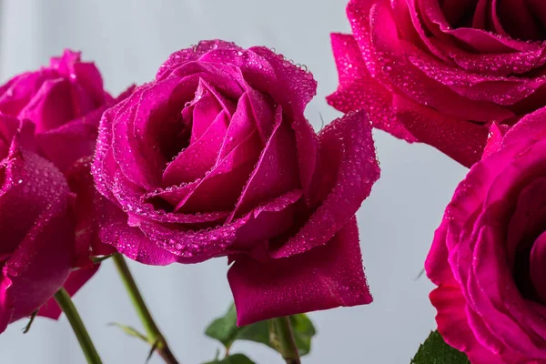 Magnifique Bouquet Belles Roses Fraîches Fleurs Dans Vase Sur Table — Photo