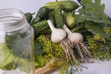 Taze salatalık, sarımsak ve otlar. Salatalıkları koruma süreci.