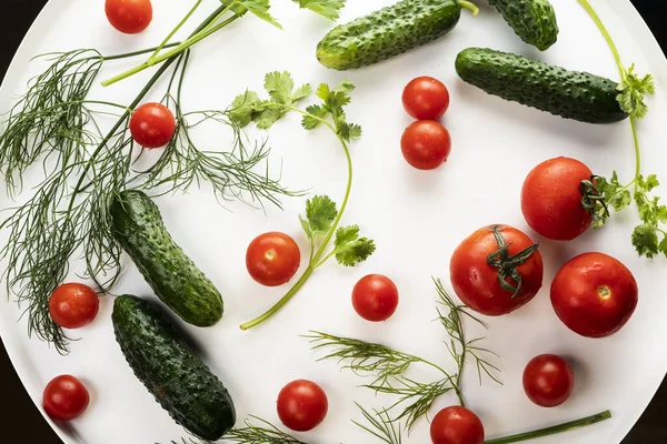 Mentimun Segar Dan Tomat Dengan Herbal Dengan Tetesan Air Pada — Stok Foto