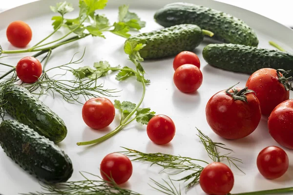 Mentimun Segar Dan Tomat Dengan Herbal Dengan Tetesan Air Pada — Stok Foto
