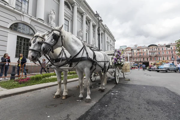 29.08.2020 Saint-Petersburg, Rusya. Yıllık Çiçek Festivali. Şehirde dolaşmak için sanatçılar, çiçek desenli arabalar ve arabalar hazırlıyoruz..