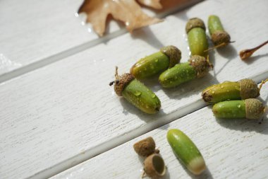 Su damlaları olan bir masada toplu palamutlar..