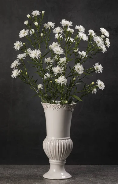 Bouquet Petits Asters Jardin Dans Vase Blanc Sur Fond Gris — Photo