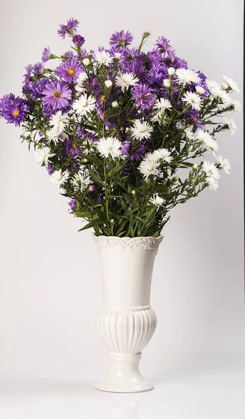 Bouquet Petits Asters Jardin Dans Vase Sur Fond Blanc — Photo