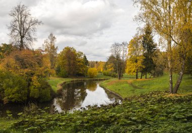 Nehir manzaralı sonbahar manzarası.