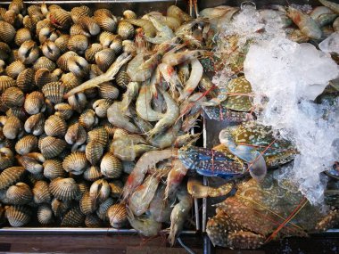 Mantis karides, at nalı yengeci mavi yengeç ve deniz ürünleri raflarda deniz ürünleri