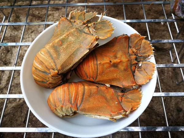 Stomatopods and seafood barbecue on beach