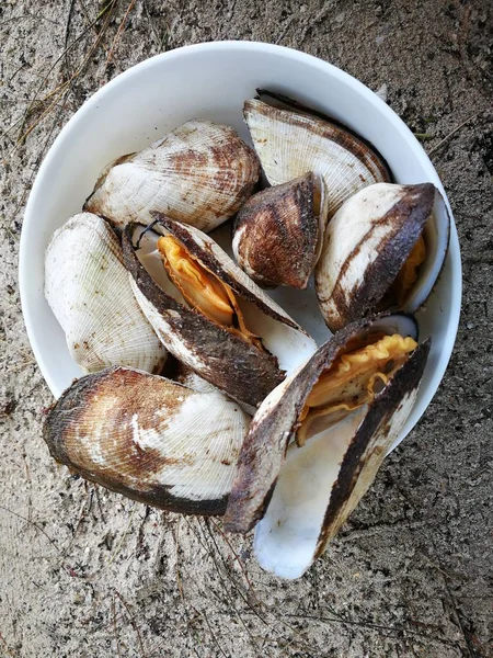 seafood barbecue on beach in Thailand