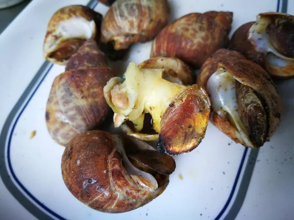 Conchas Doces Grelhados Favorito Tailândia Beach Street Menu Comida — Fotografia de Stock