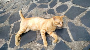 Yaşam ve stil, Tayland'ın en iyi turistik