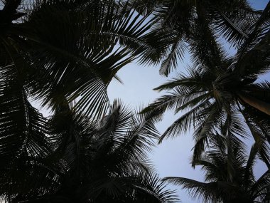 Sahilde güzel bir gün doğumu