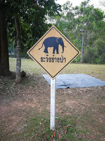 Tablica Ostrzegawcza Tajlandia Języka Zdjęcie Oznacza Ostrzeżenie Słonie Lasu — Zdjęcie stockowe