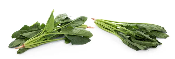 Espinacas Frescas Sobre Fondo Blanco — Foto de Stock