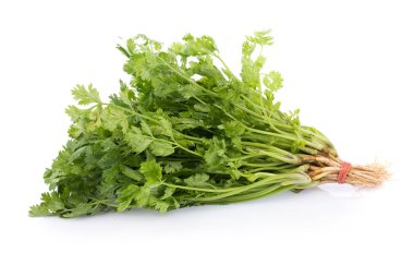 Beyaz arkaplanda taze kişniş yaprakları