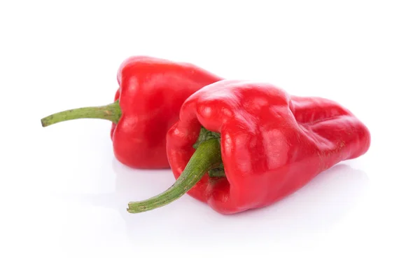 Chili Peppers White Background — Stock Photo, Image