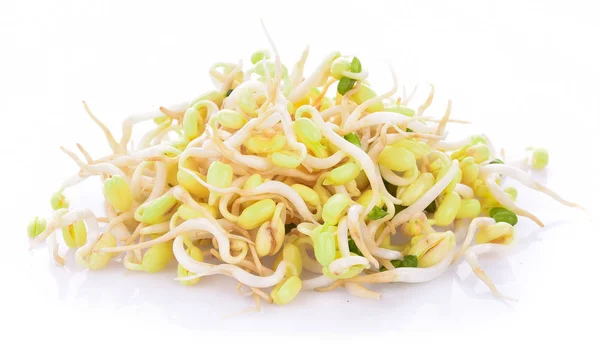 Bean sprouts, soybean sprouts on white background — Stock Photo, Image