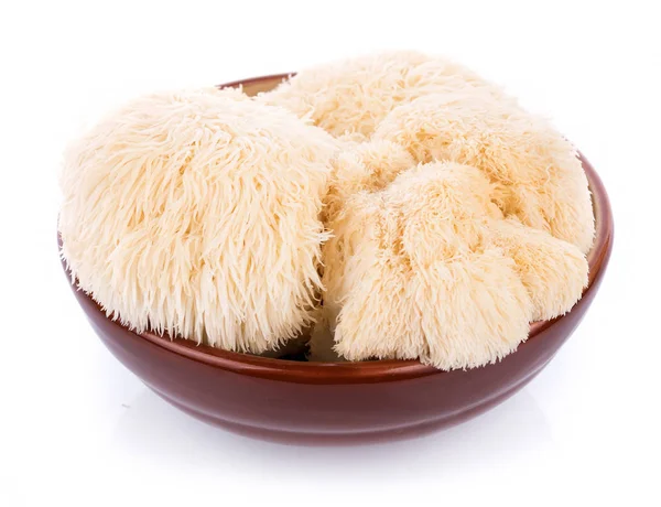 Lion mane mushroom isolated on white background — Stock Photo, Image