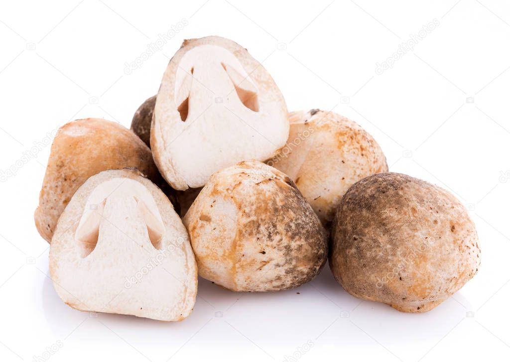Straw mushrooms isolated on white background