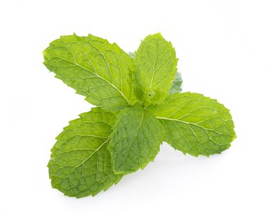 Beyaz arkaplanda izole edilmiş nane yaprakları