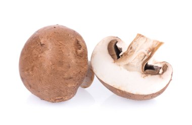 Mantar şampiyonu beyaz arkaplanda izole edildi