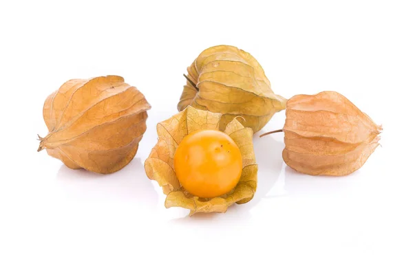 Mys angrešt na bílém pozadí. Physalis — Stock fotografie