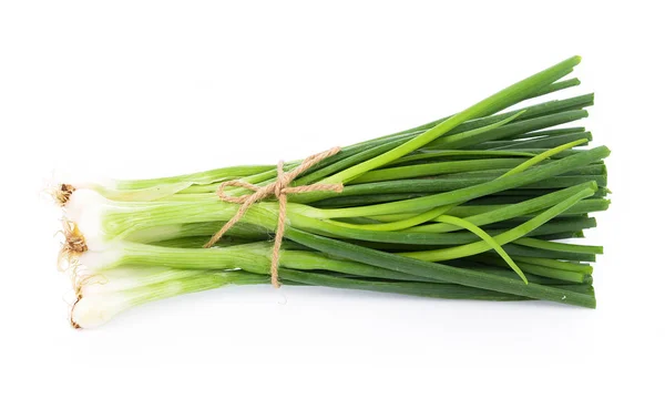 Green onion isolated on the white background — Stock Photo, Image