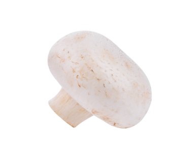 Beyaz arkaplanda izole edilmiş beyaz mantar şampiyonu