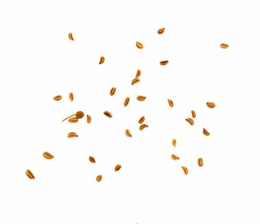 kereviz tohumu beyaz arka plan üzerinde izole