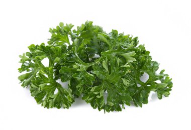 Maydanoz beyaz bir arkaplanda izole