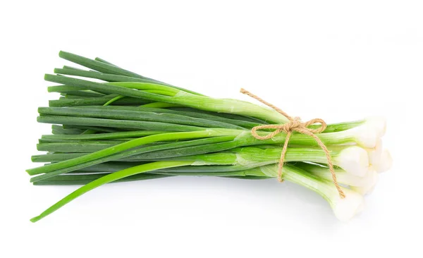 Zelená cibule izolované na bílém pozadí — Stock fotografie