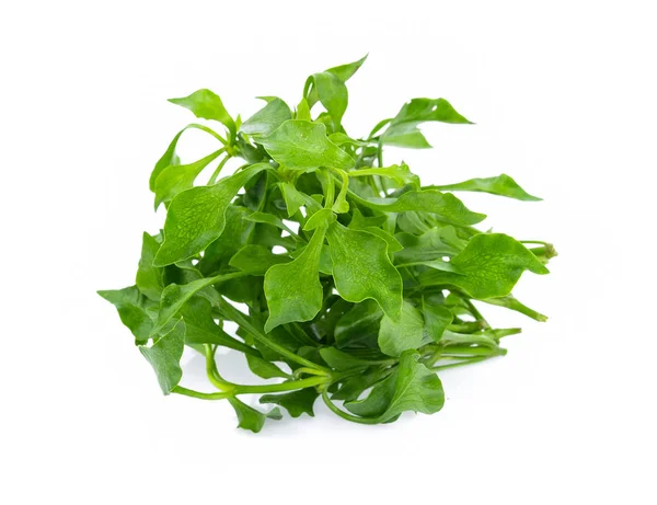 Fresh Watercress isolated on white background — Stock Photo, Image