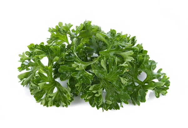 Parsley isolated on a white background — Stock Photo, Image