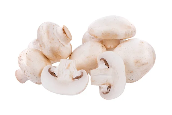Weißer Champignon Pilz isoliert auf weißem Hintergrund — Stockfoto