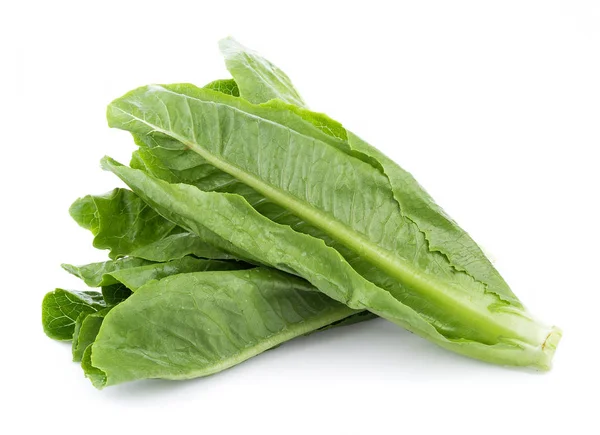 Friss, mert saláta izolált fehér alapon — Stock Fotó